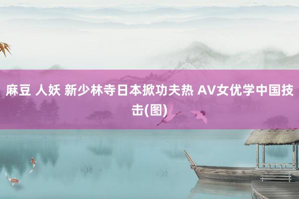 麻豆 人妖 新少林寺日本掀功夫热 AV女优学中国技击(图)