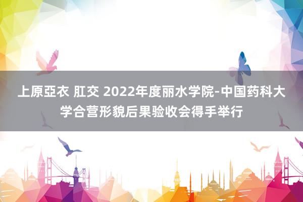 上原亞衣 肛交 2022年度丽水学院-中国药科大学合营形貌后果验收会得手举行