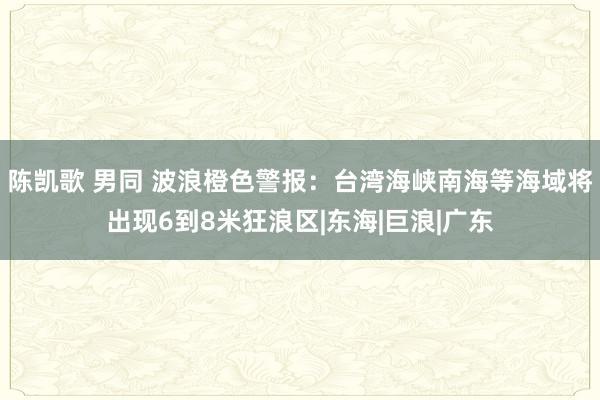 陈凯歌 男同 波浪橙色警报：台湾海峡南海等海域将出现6到8米狂浪区|东海|巨浪|广东