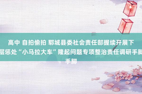 高中 自拍偷拍 郓城县委社会责任部握续开展下层惩处“小马拉大车”隆起问题专项整治责任调研手脚