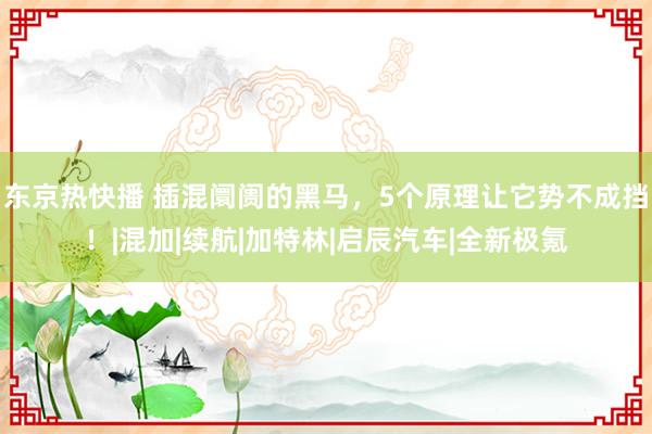 东京热快播 插混阛阓的黑马，5个原理让它势不成挡！|混加|续航|加特林|启辰汽车|全新极氪