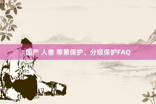 国产 人兽 等第保护、分级保护FAQ