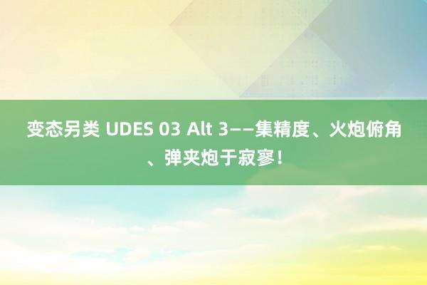 变态另类 UDES 03 Alt 3——集精度、火炮俯角、弹夹炮于寂寥！